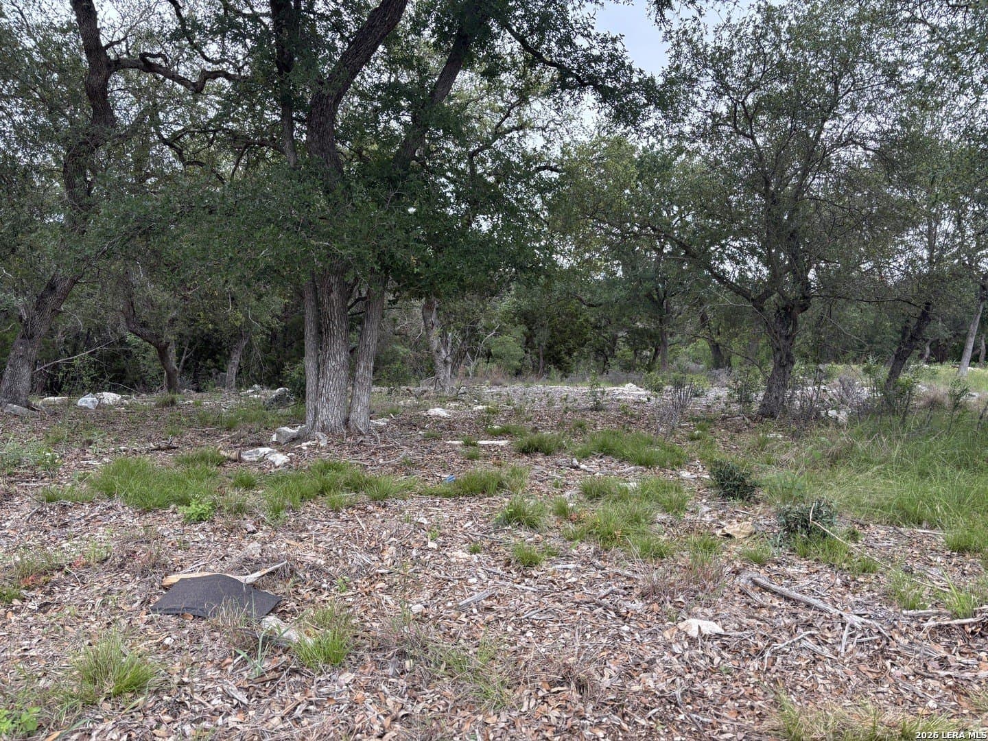 1.44 acres in Comal County gallery image 4