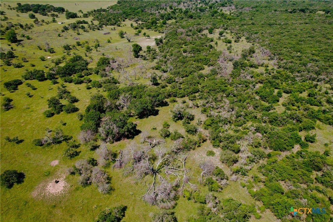299.89 acres in Mills County - photo 22