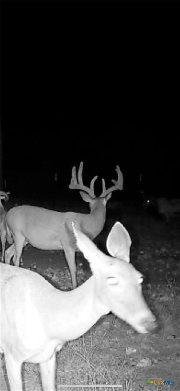 299.89 acres in Mills County featured view