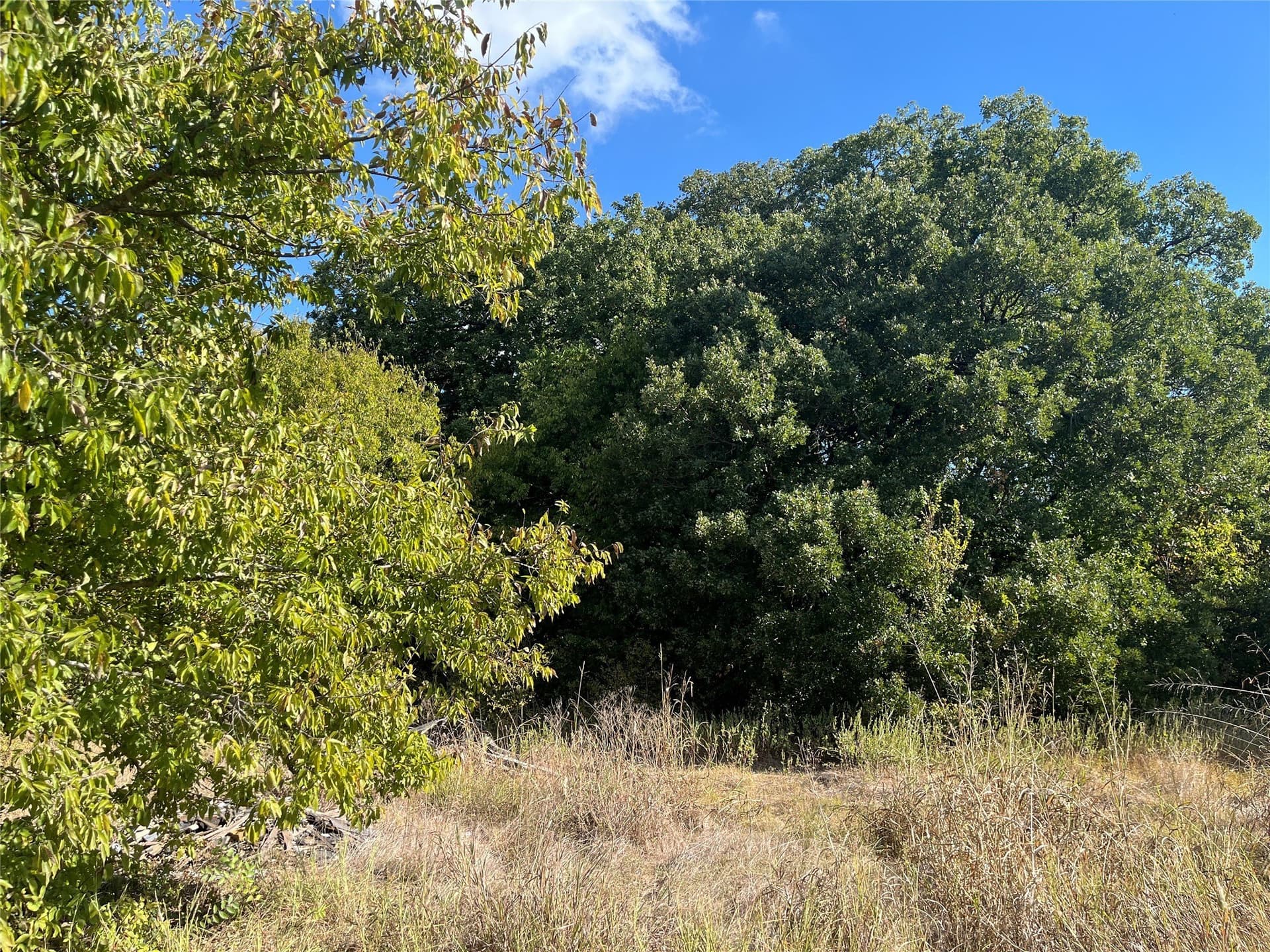 3.43 acres in Hunt County - photo 8