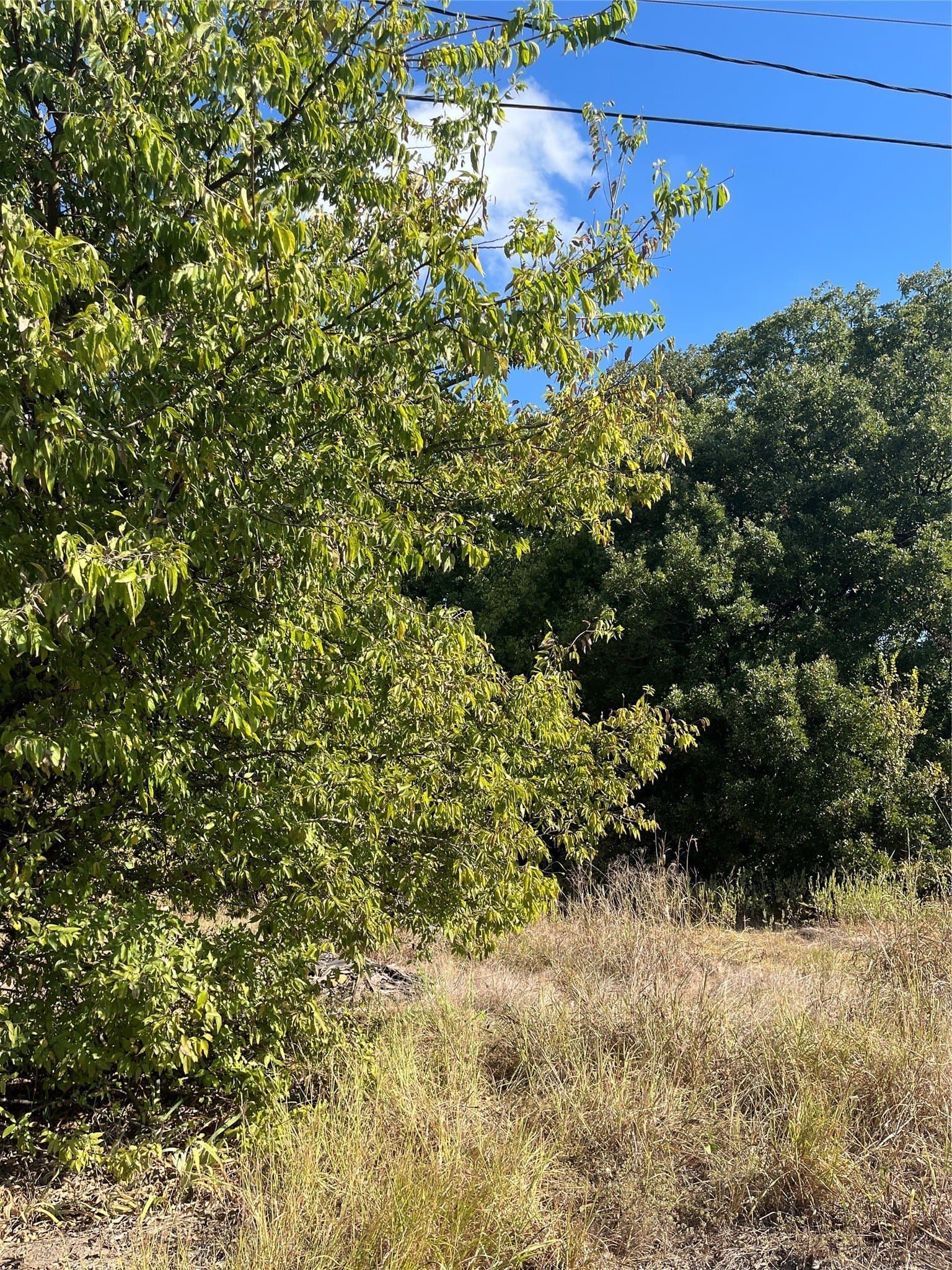 3.43 acres in Hunt County - photo 5