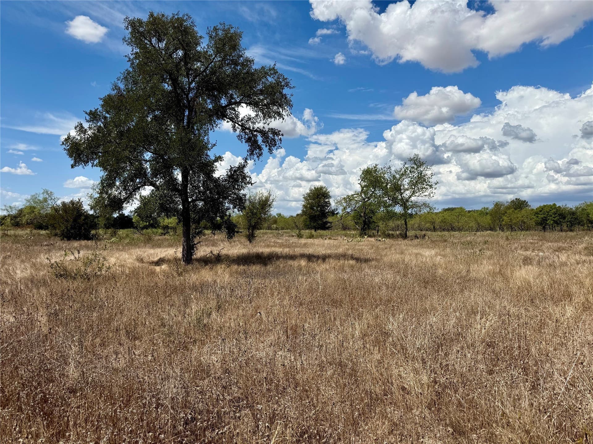 1.67 acres in Falls County
