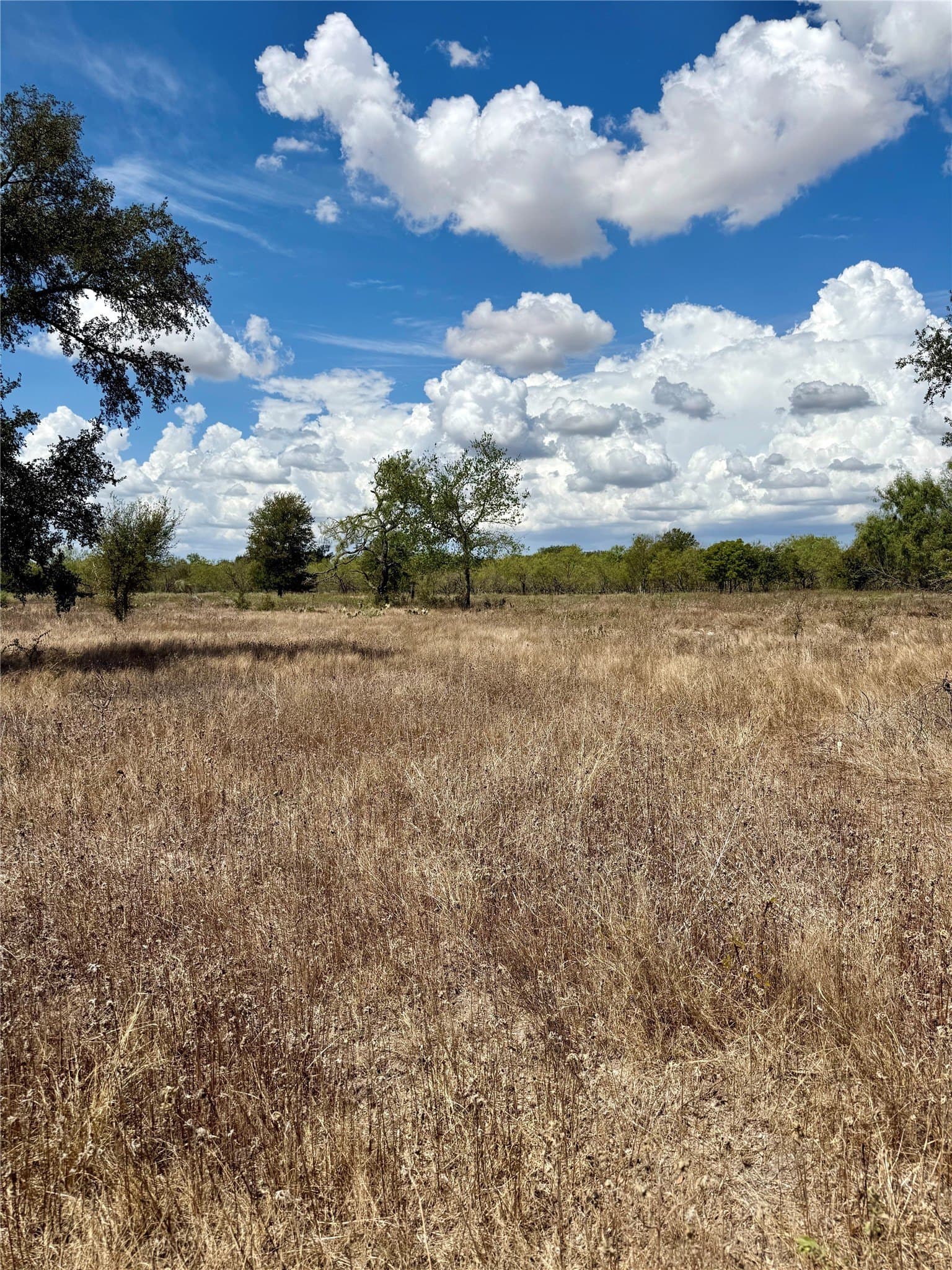 1.67 acres in Falls County - photo 3