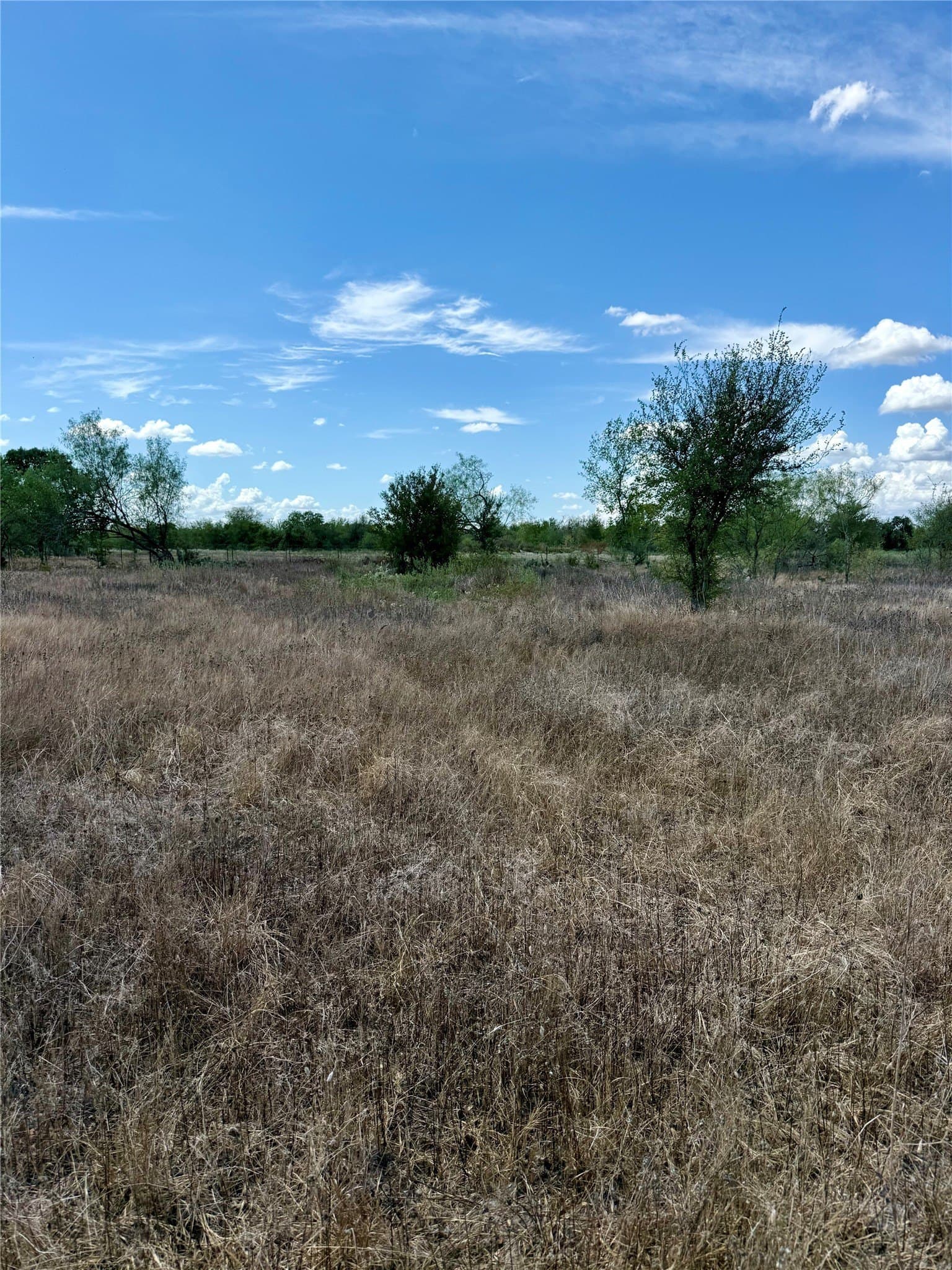 1.67 acres in Falls County - photo 4