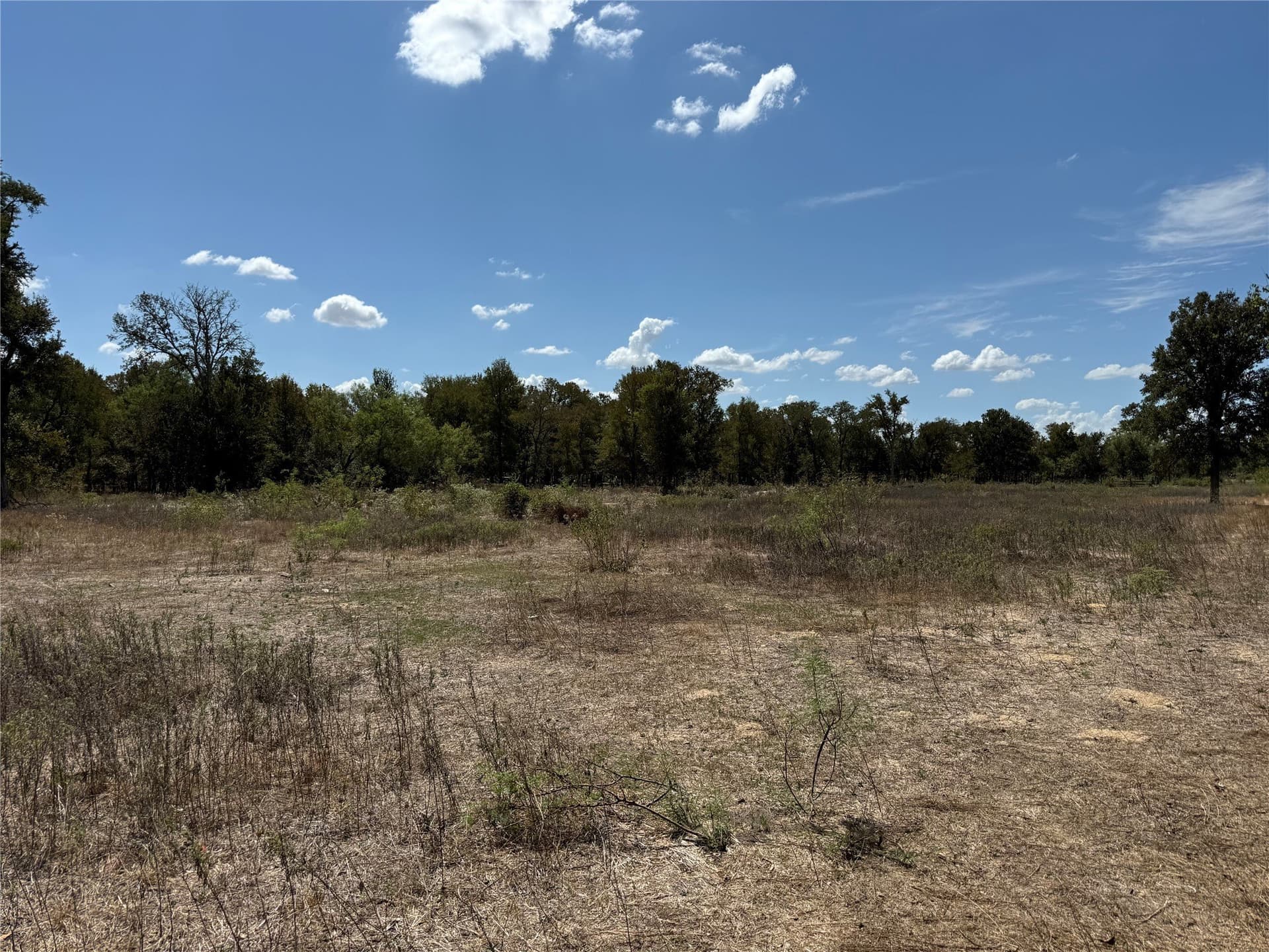 1.67 acres in Falls County - photo 5