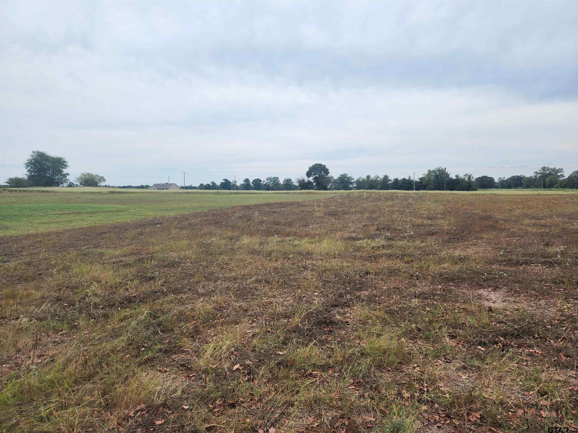 1.36 acres in Camp County - photo 5