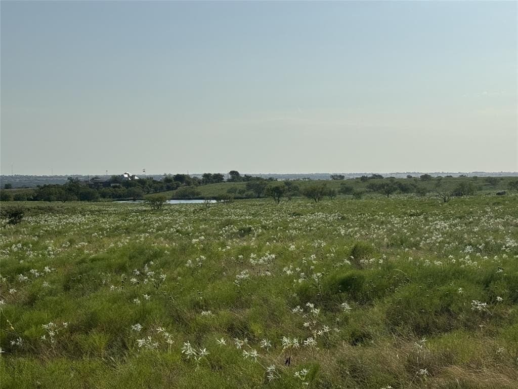 11.9 acres in Wise County gallery image 3