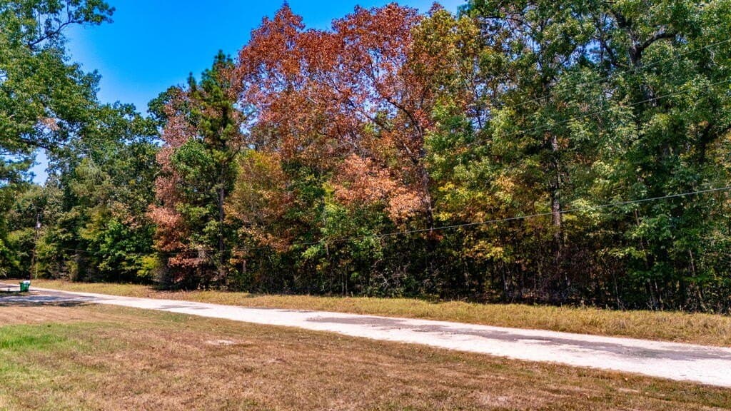 2.37 acres in Texas County - photo 10