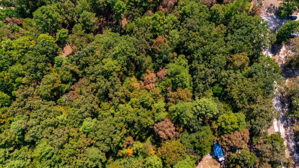 2.37 acres in Texas County - photo 4