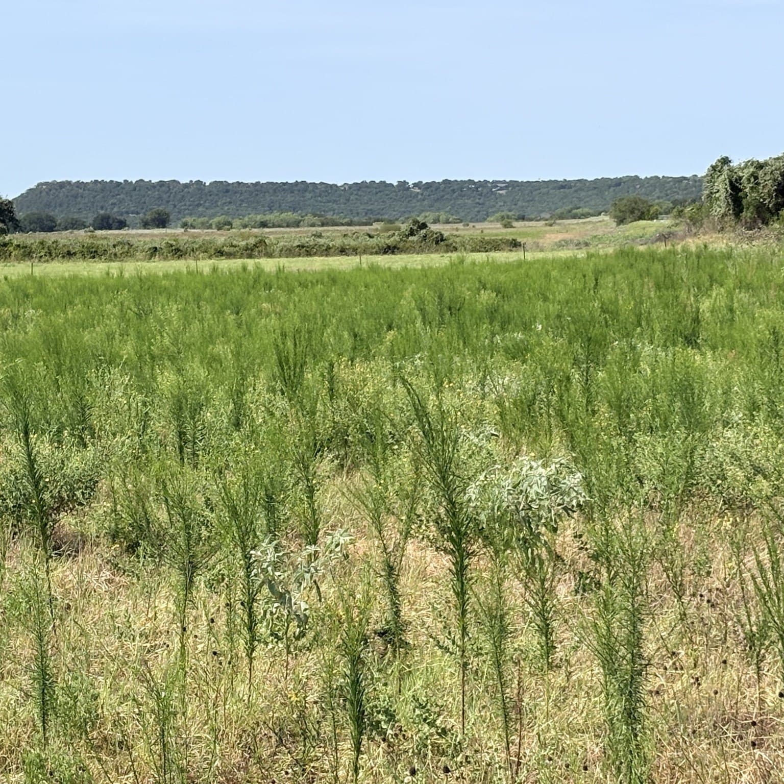 26.25 acres in Palo Pinto County