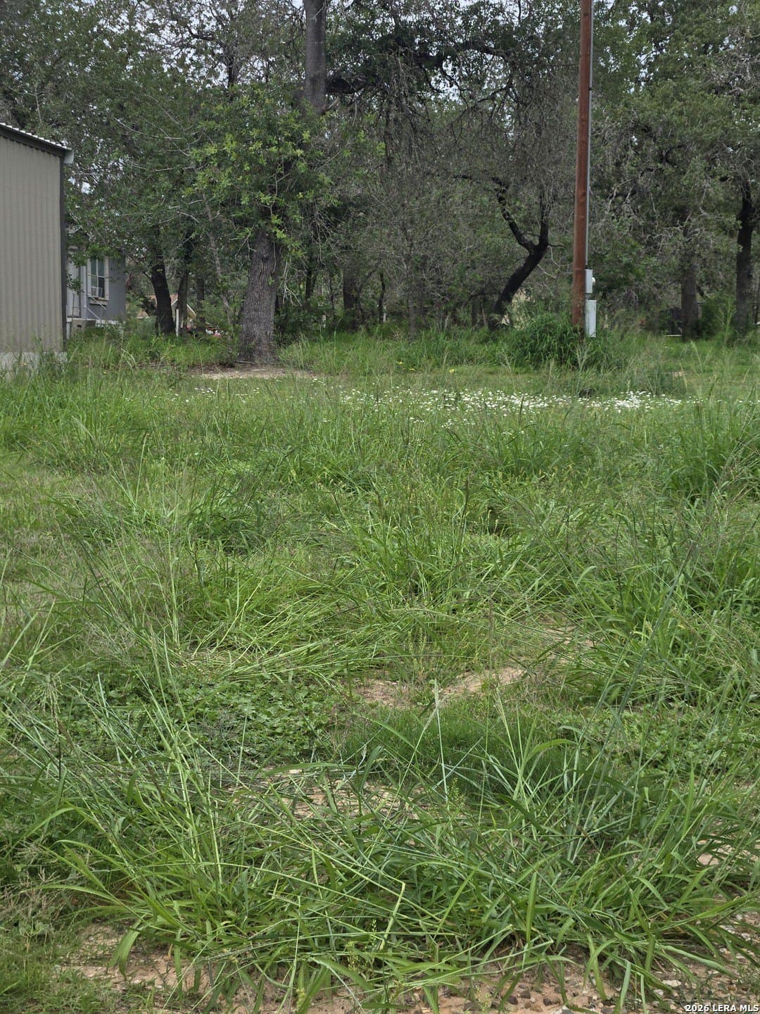 1.68 acres in Atascosa County featured view
