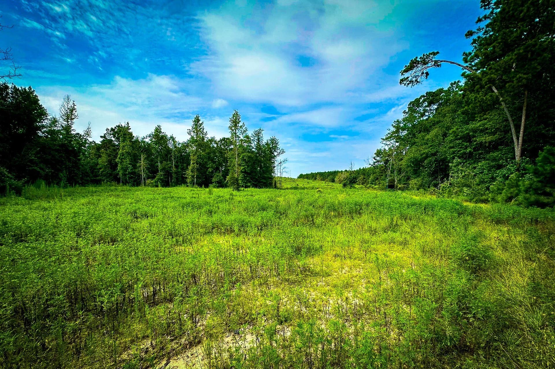 140 acres in Polk County - photo 34