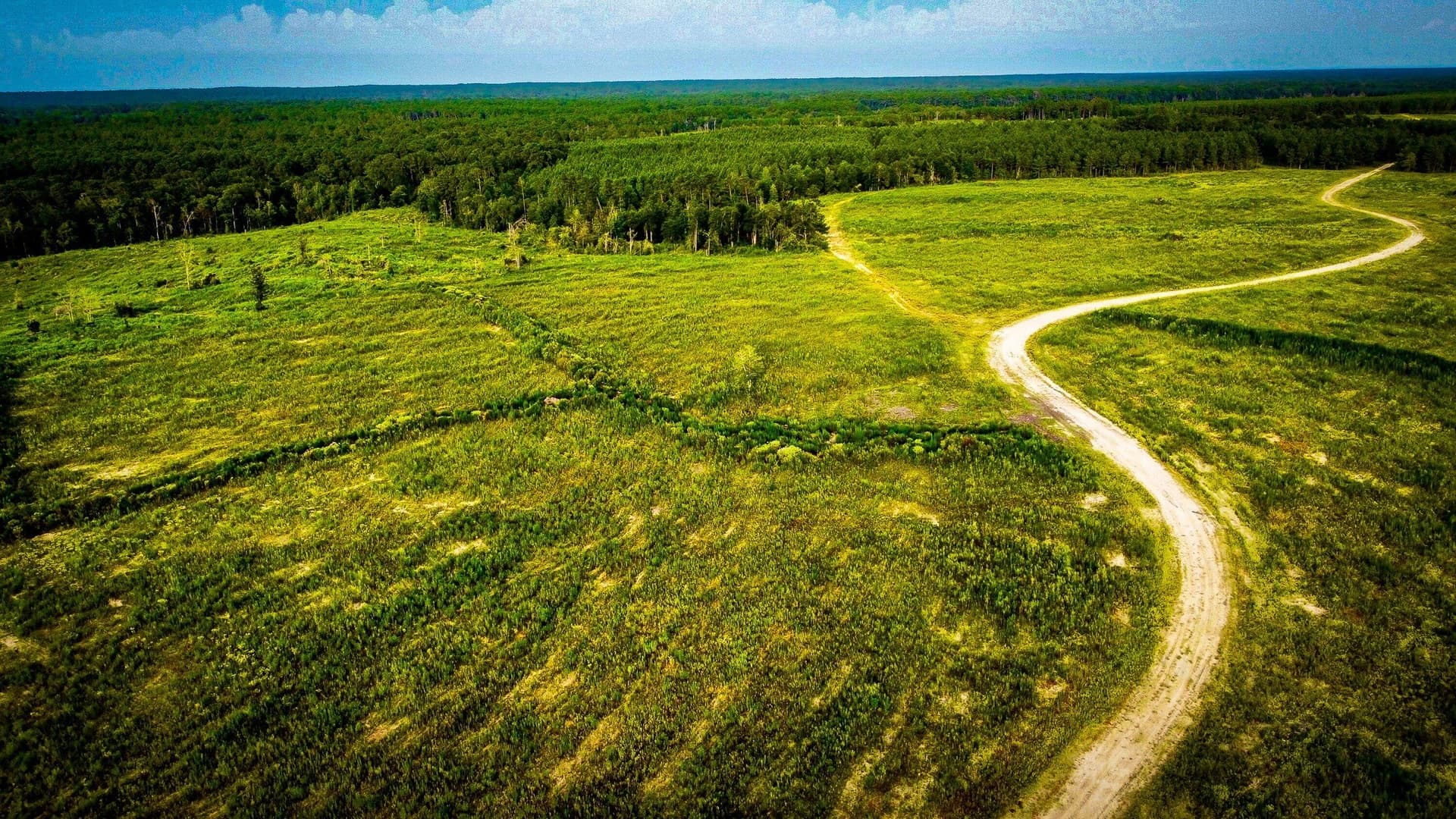 140 acres in Polk County - photo 2