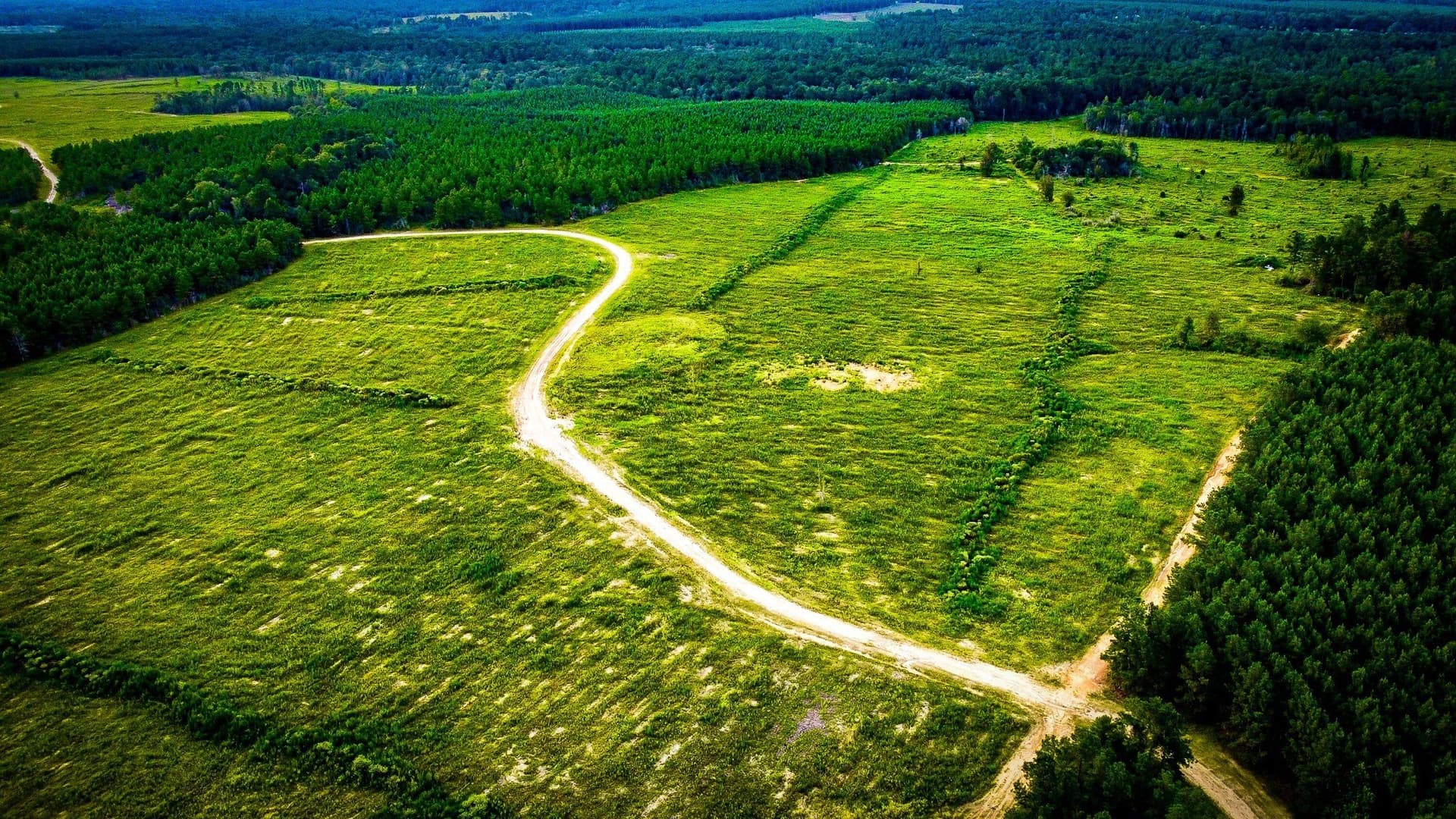 140 acres in Polk County - photo 6