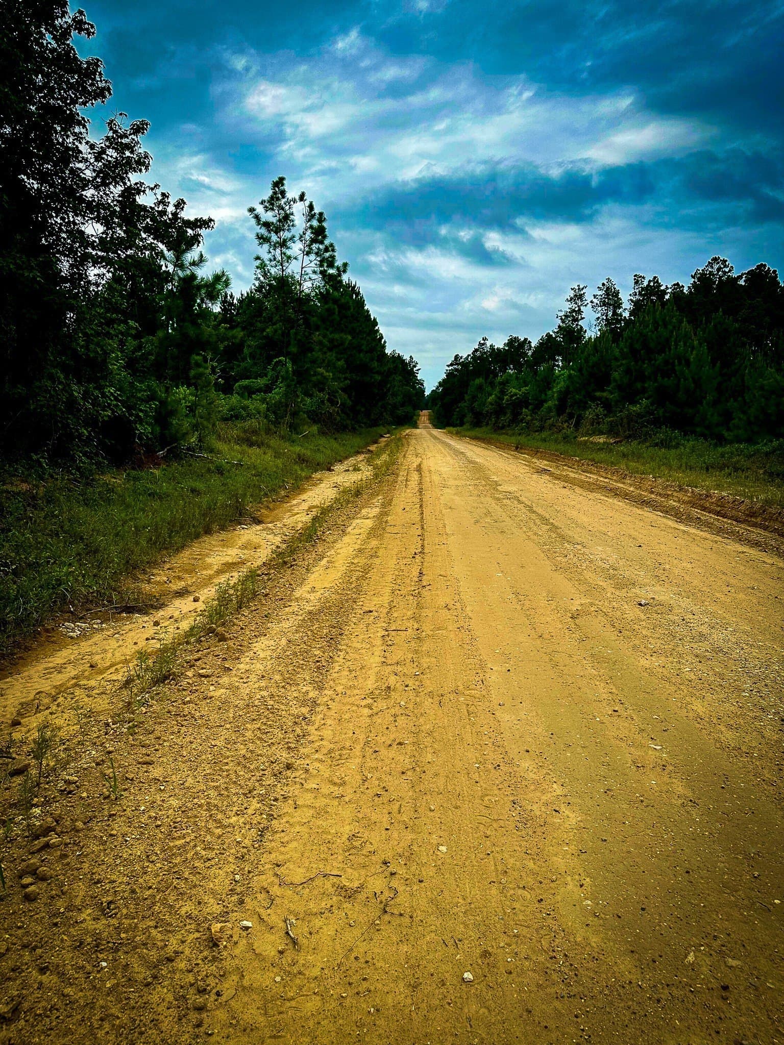 140 acres in Polk County - photo 35