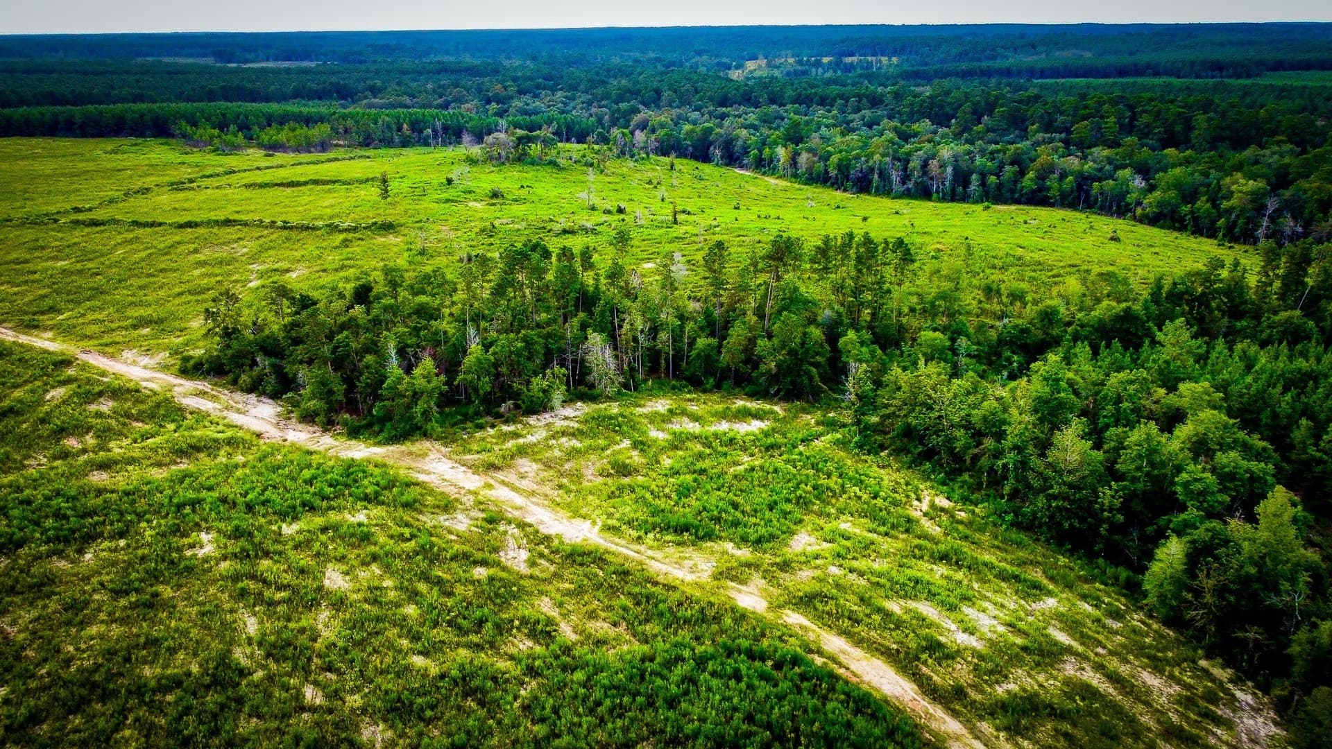 140 acres in Polk County - photo 10
