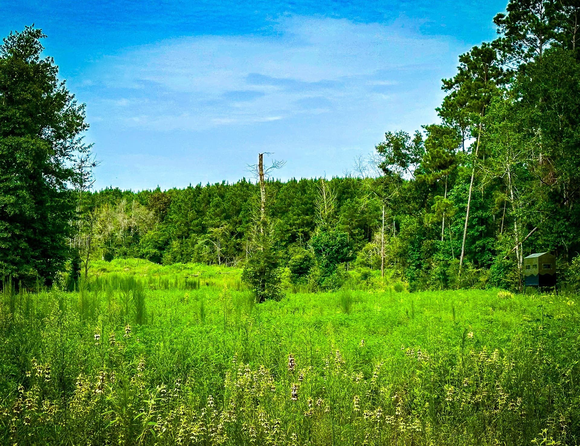 140 acres in Polk County - photo 33