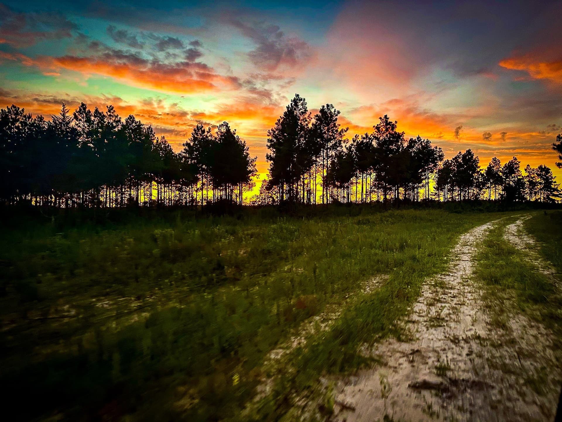 140 acres in Polk County - photo 5