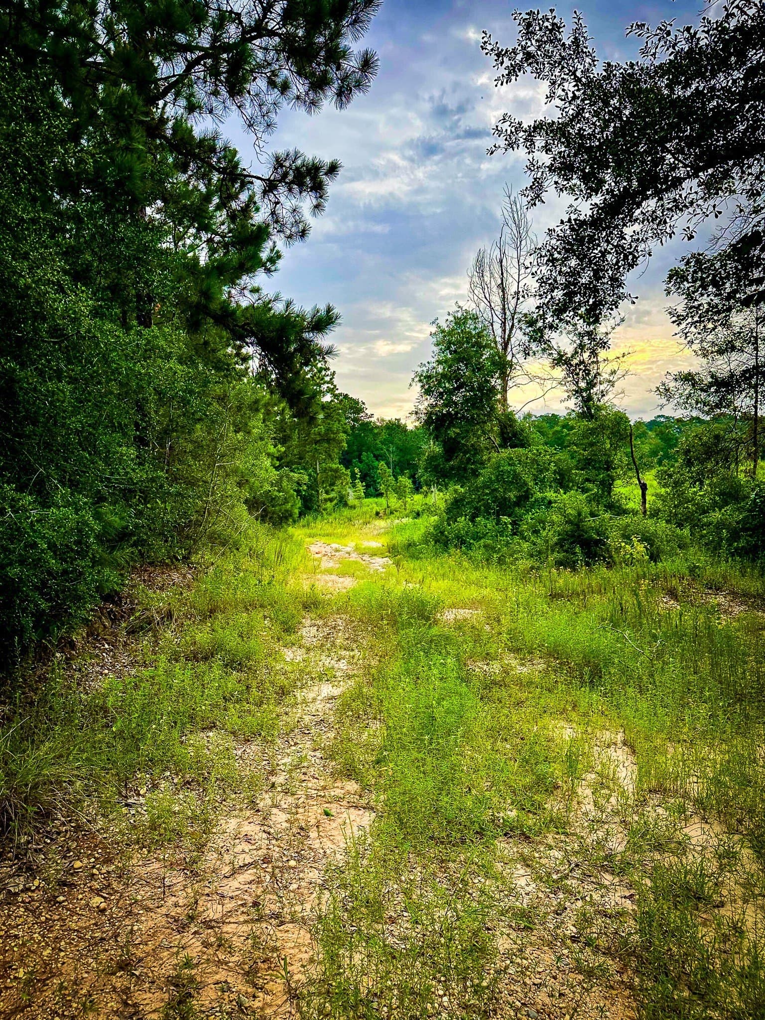 140 acres in Polk County - photo 27