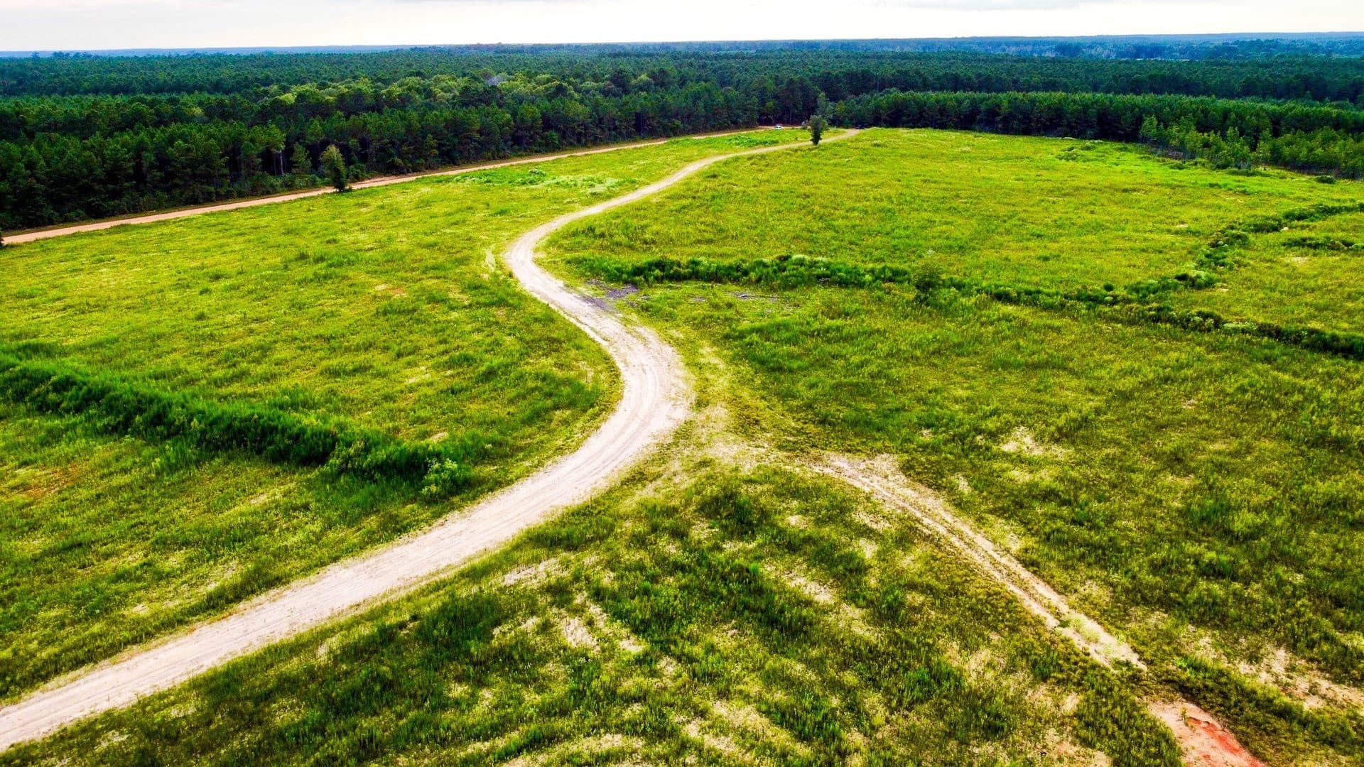 140 acres in Polk County - photo 11