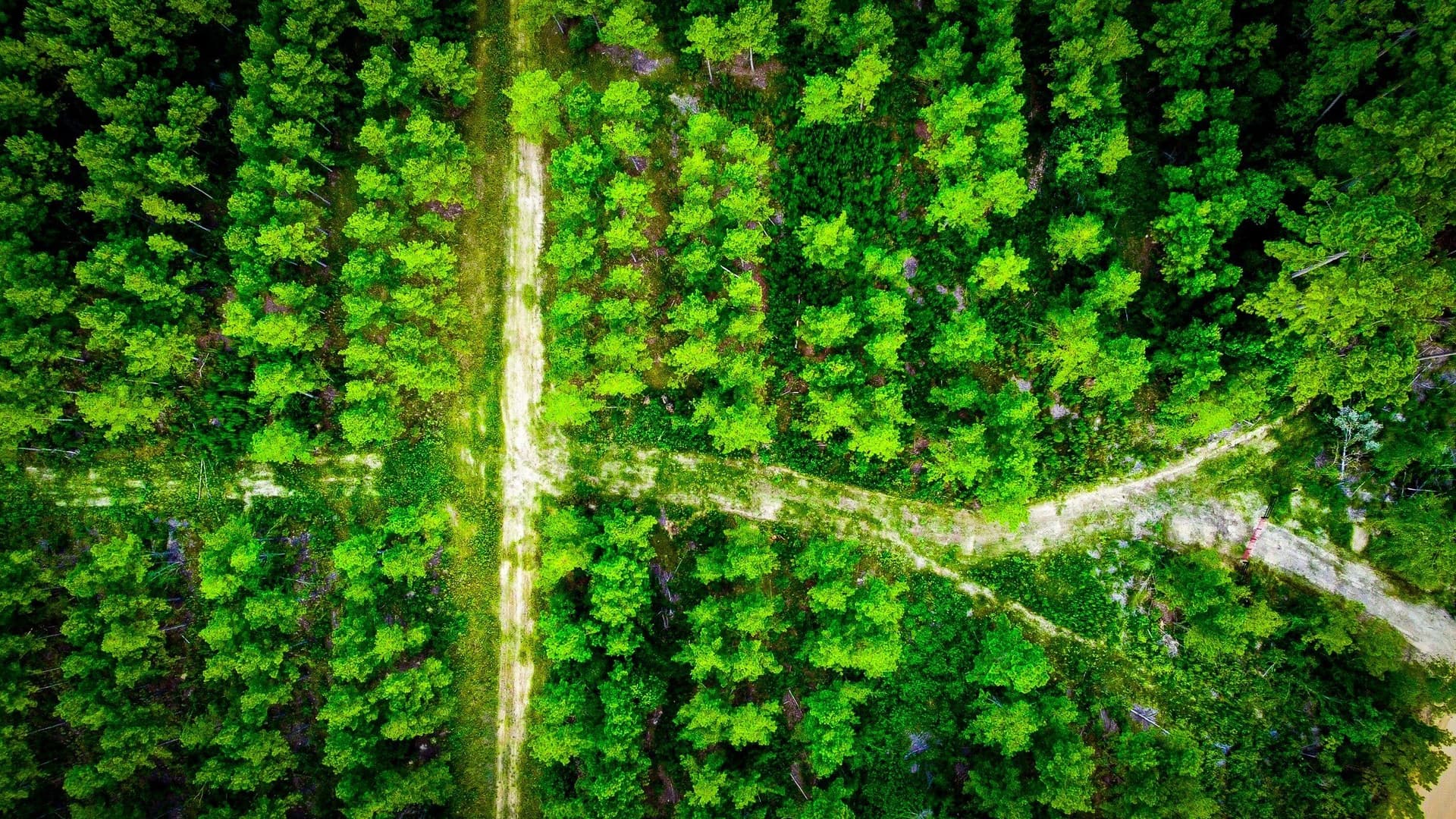 140 acres in Polk County - photo 3