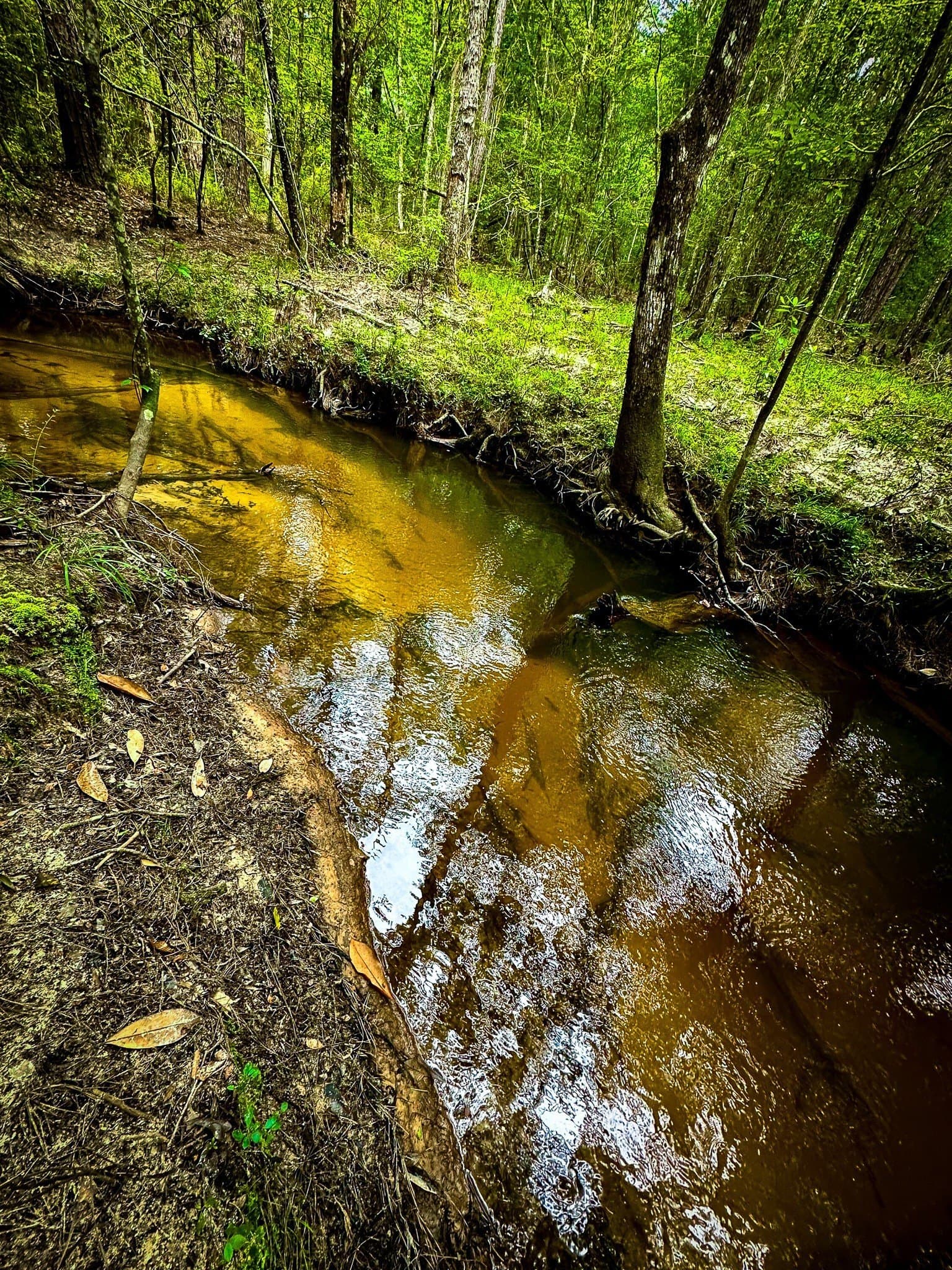 140 acres in Polk County - photo 4