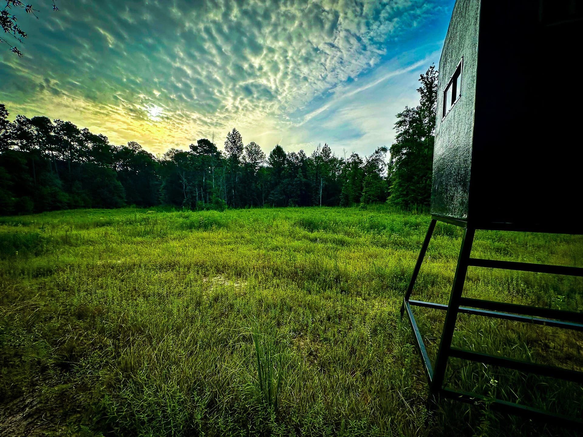 140 acres in Polk County - photo 31
