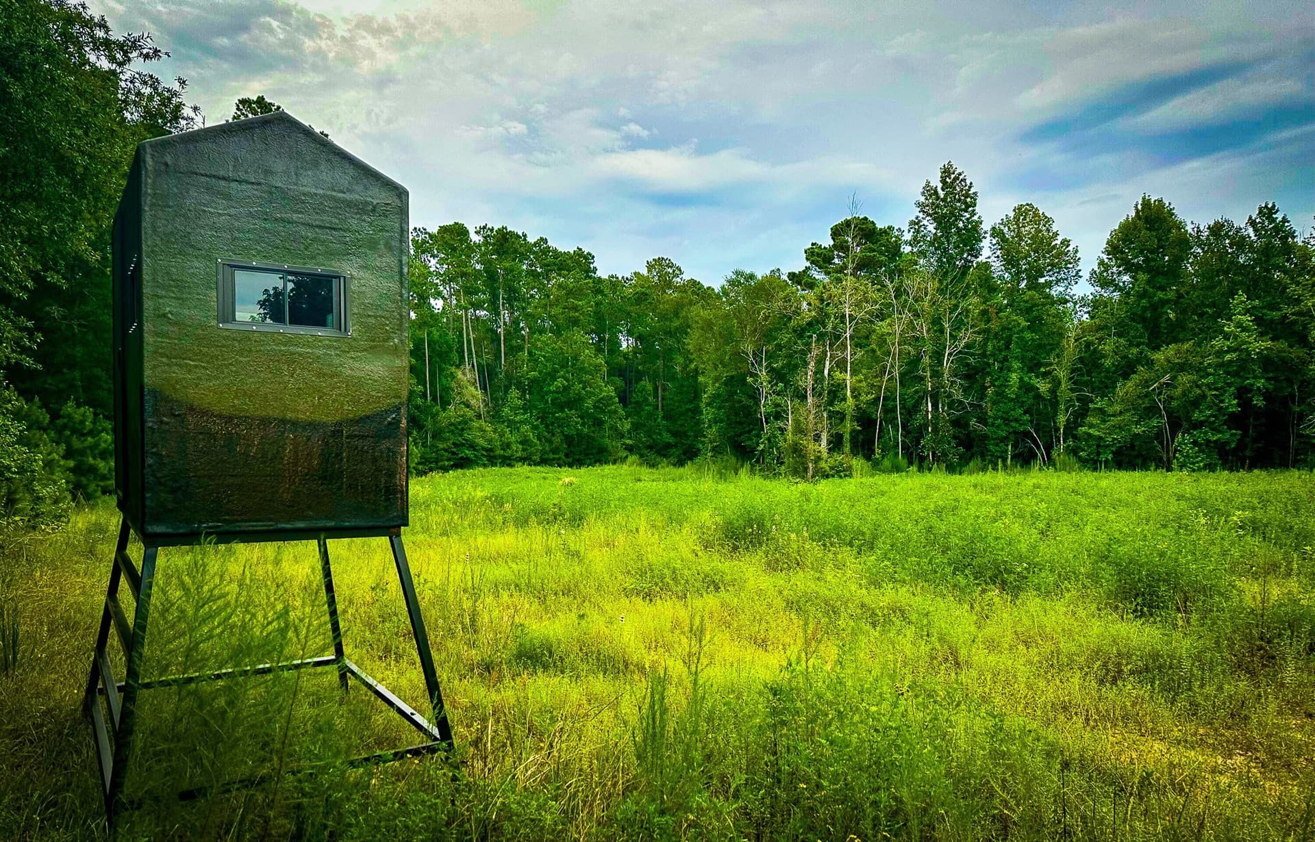 140 acres in Polk County - photo 13