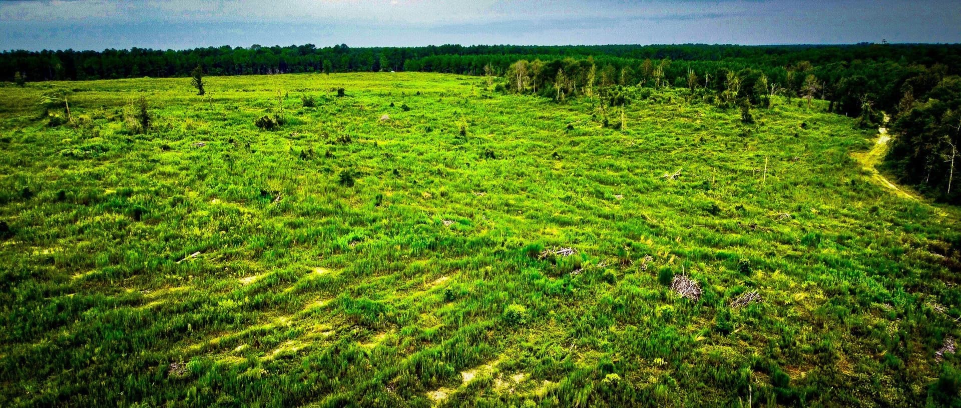140 acres in Polk County - photo 14