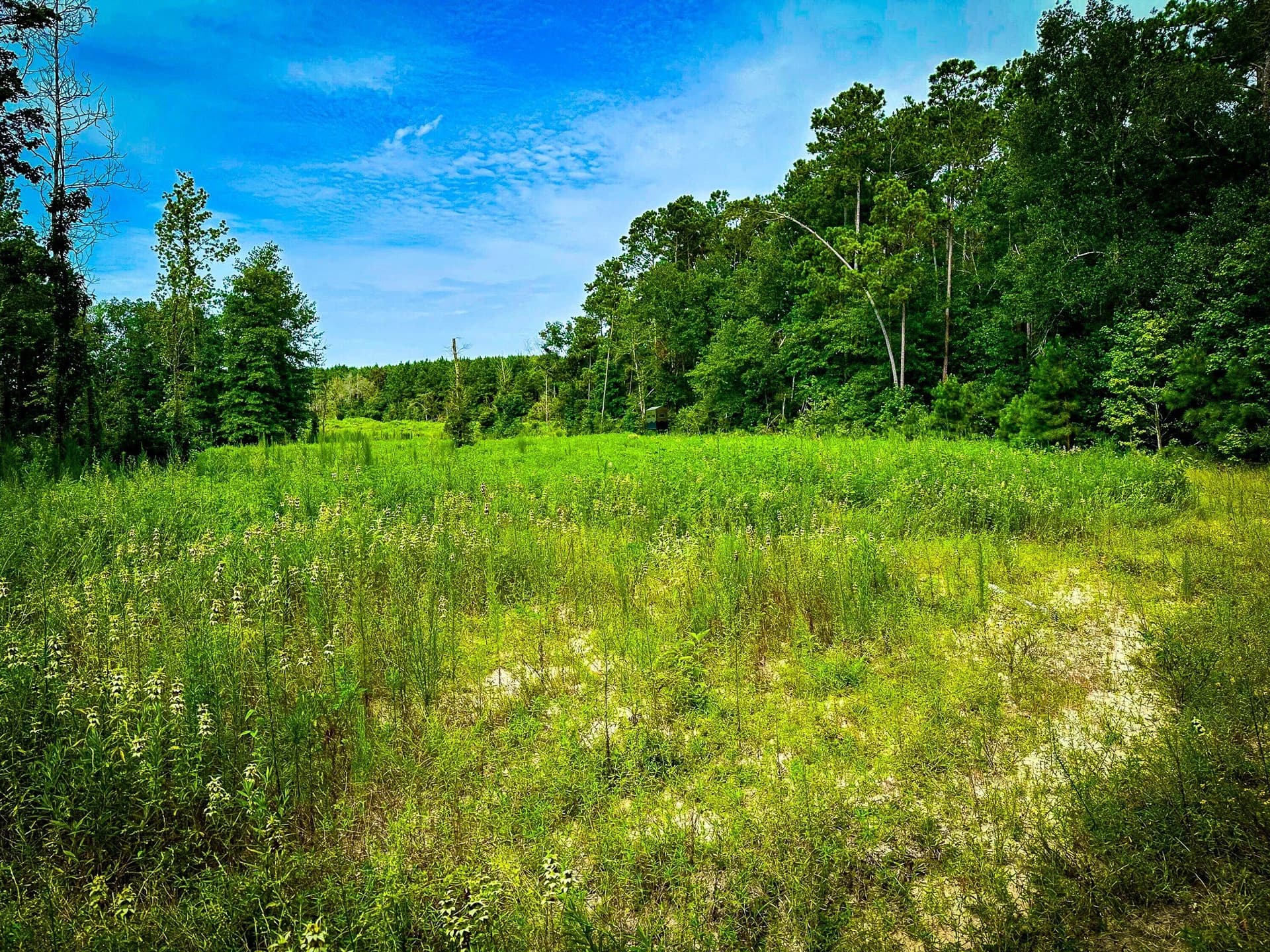 140 acres in Polk County - photo 32