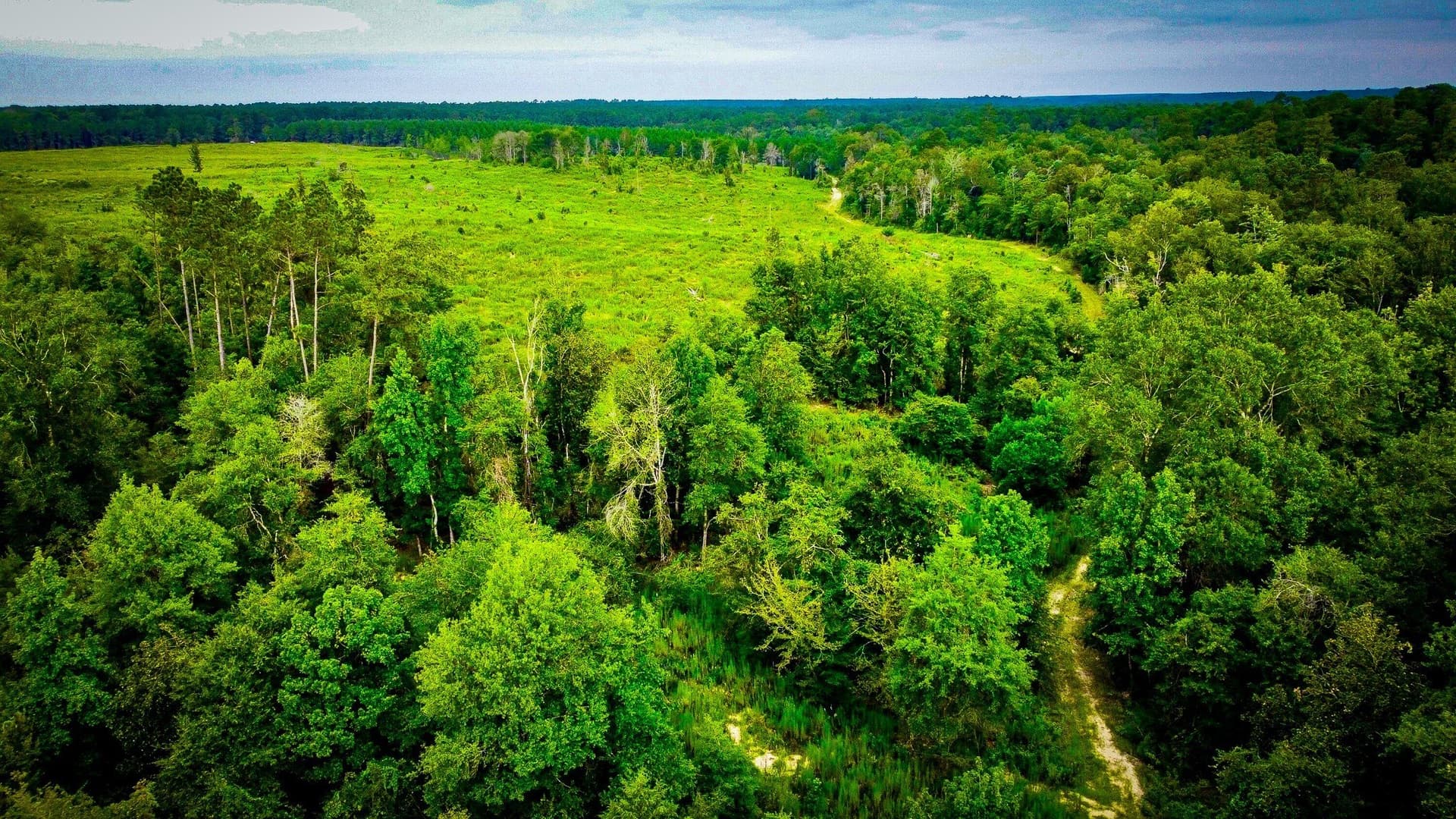 140 acres in Polk County - photo 16