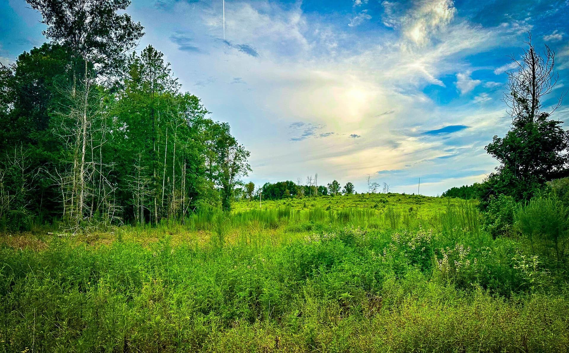 140 acres in Polk County - photo 18