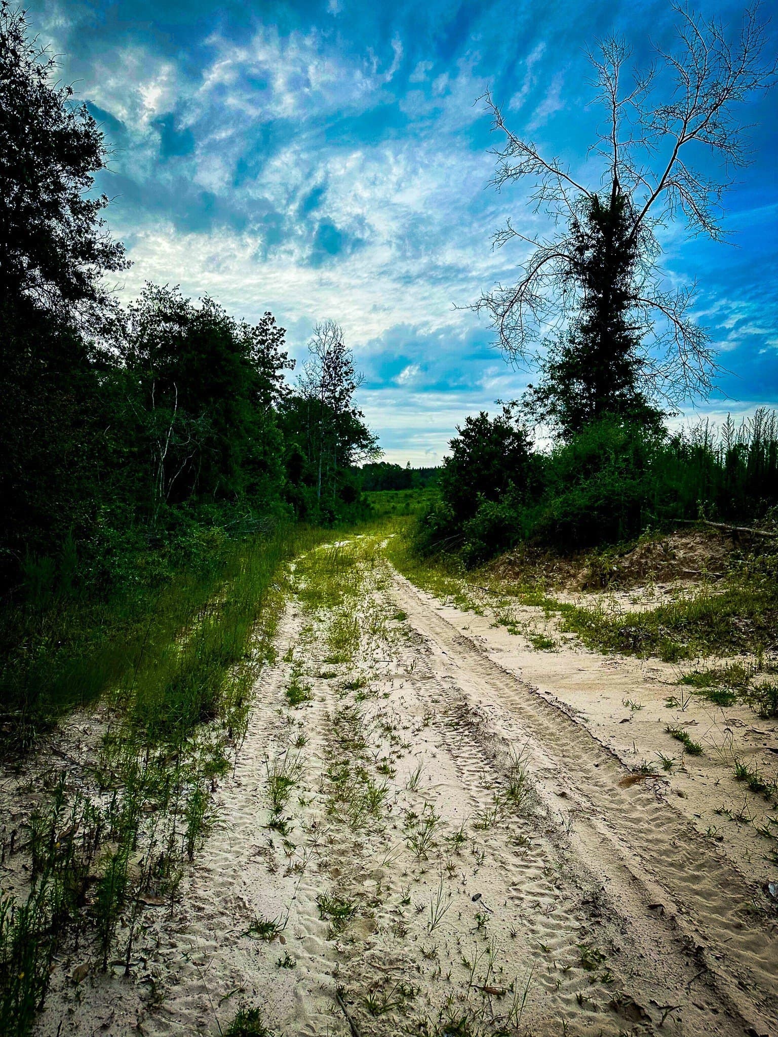 140 acres in Polk County - photo 29