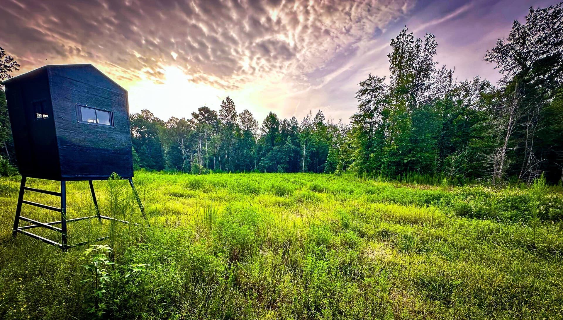 140 acres in Polk County - photo 8