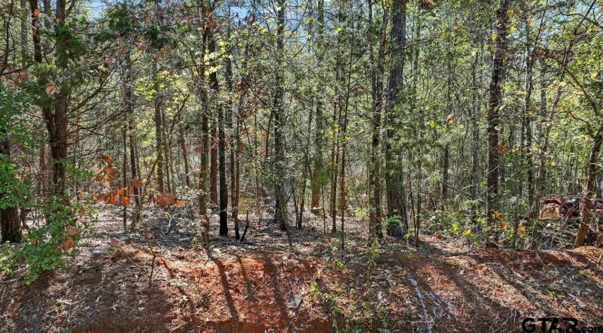 3.41 acres in Smith County