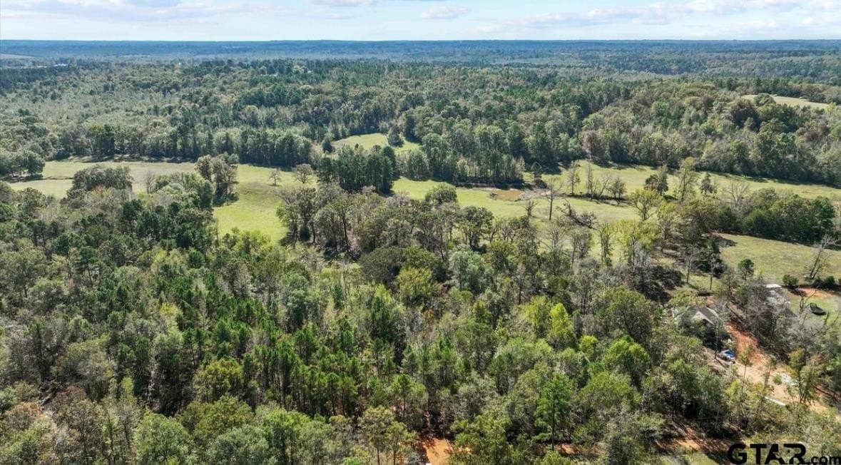 3.41 acres in Smith County gallery image 4