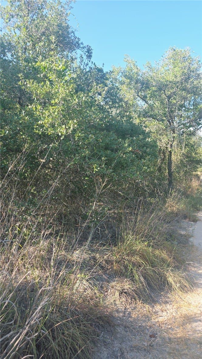 5 acres in San Patricio County - photo 3