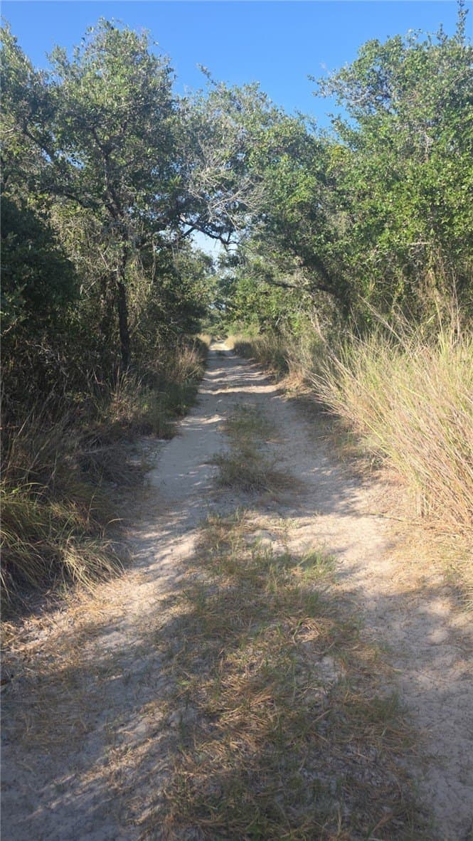 5 acres in San Patricio County - photo 4