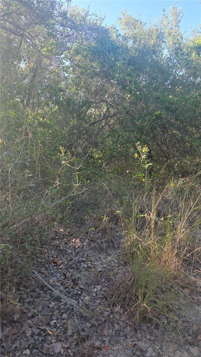 5 acres in San Patricio County