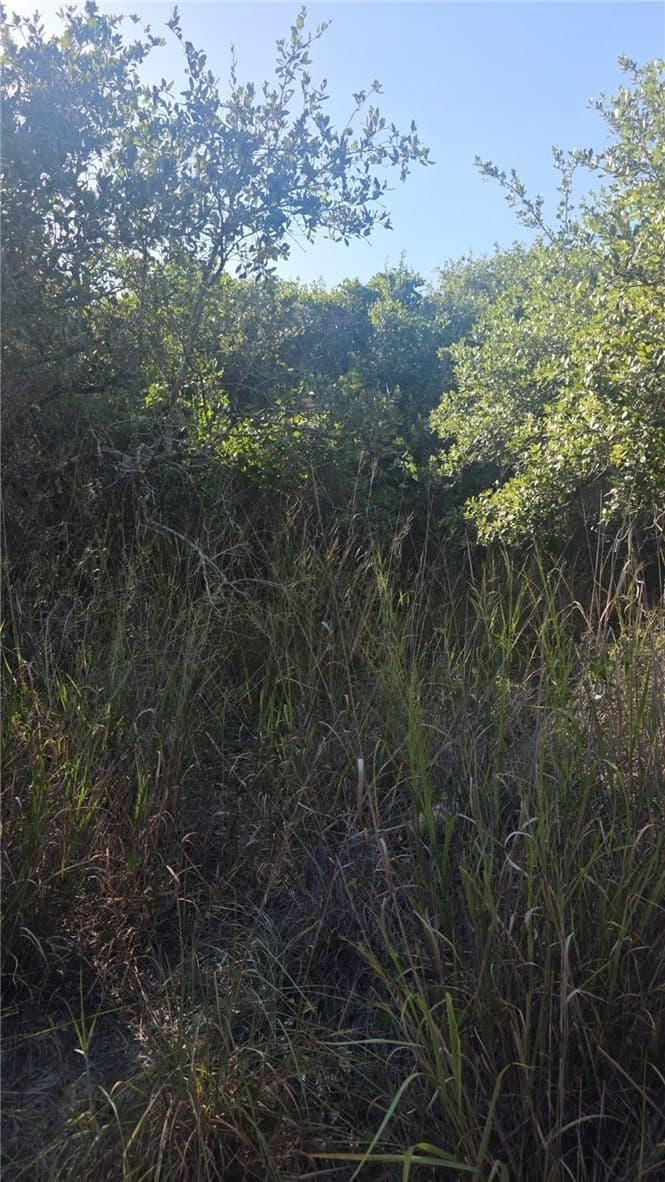 5 acres in San Patricio County - photo 5