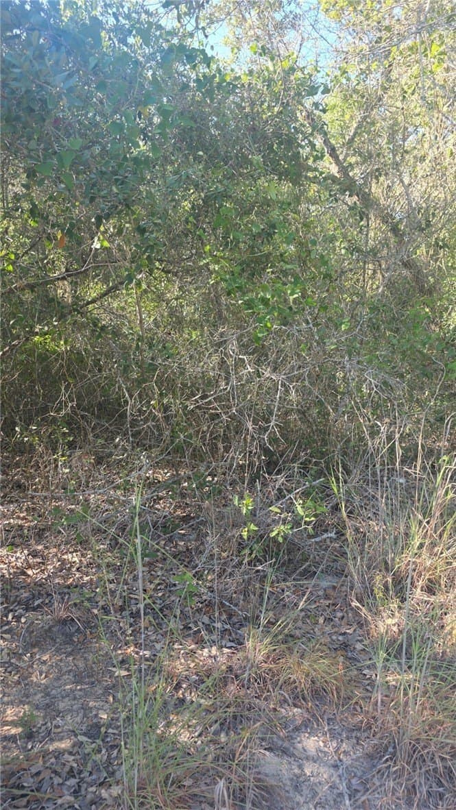 5 acres in San Patricio County - photo 2