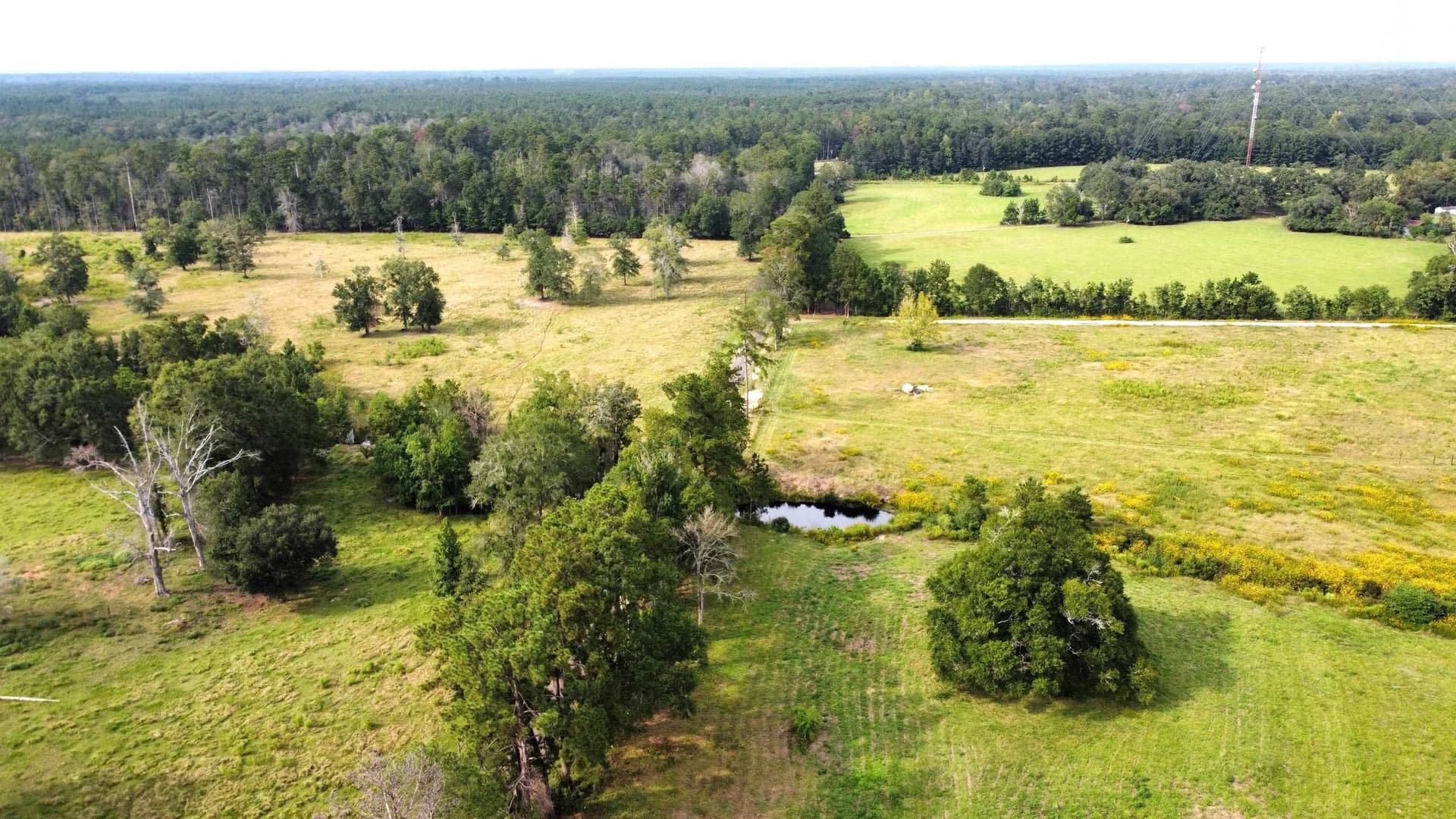 19.34 acres in Texas County gallery image 2