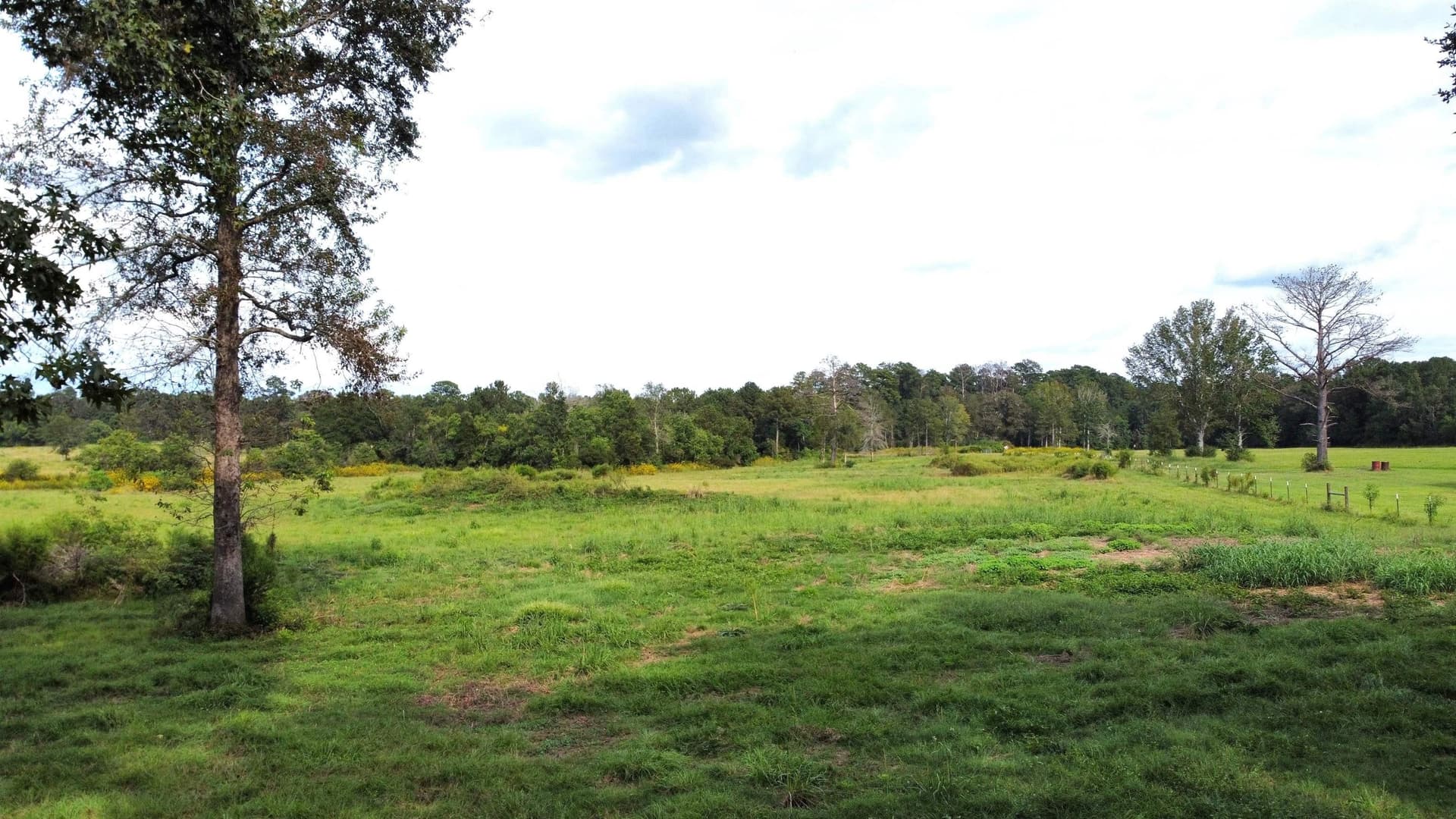 19.34 acres in Texas County featured view