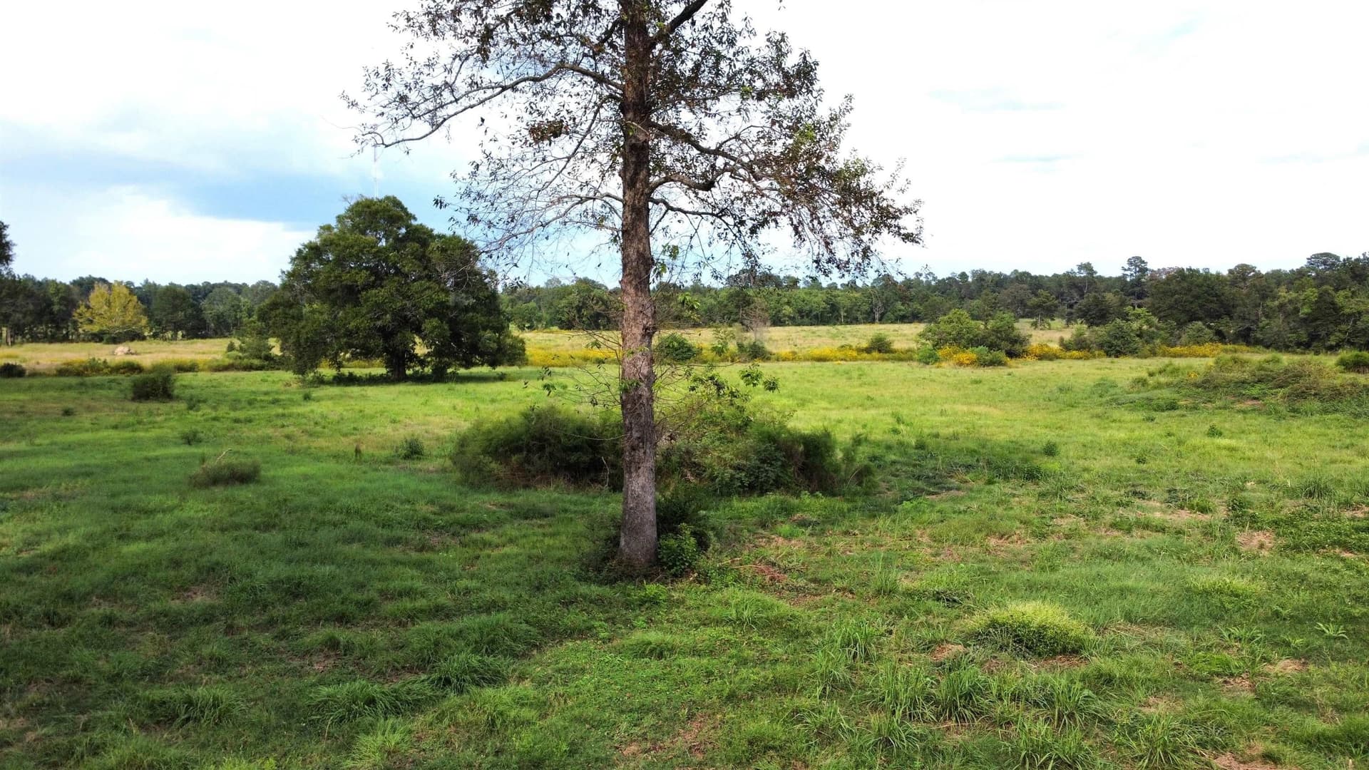 19.34 acres in Texas County gallery image 3