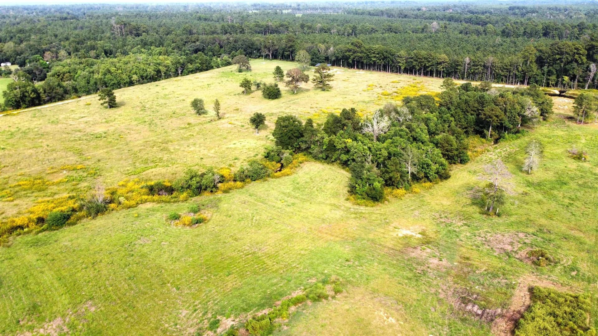19.34 acres in Texas County