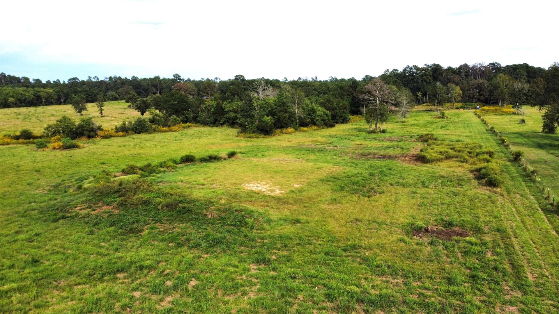 19.34 acres in Texas County gallery image 4