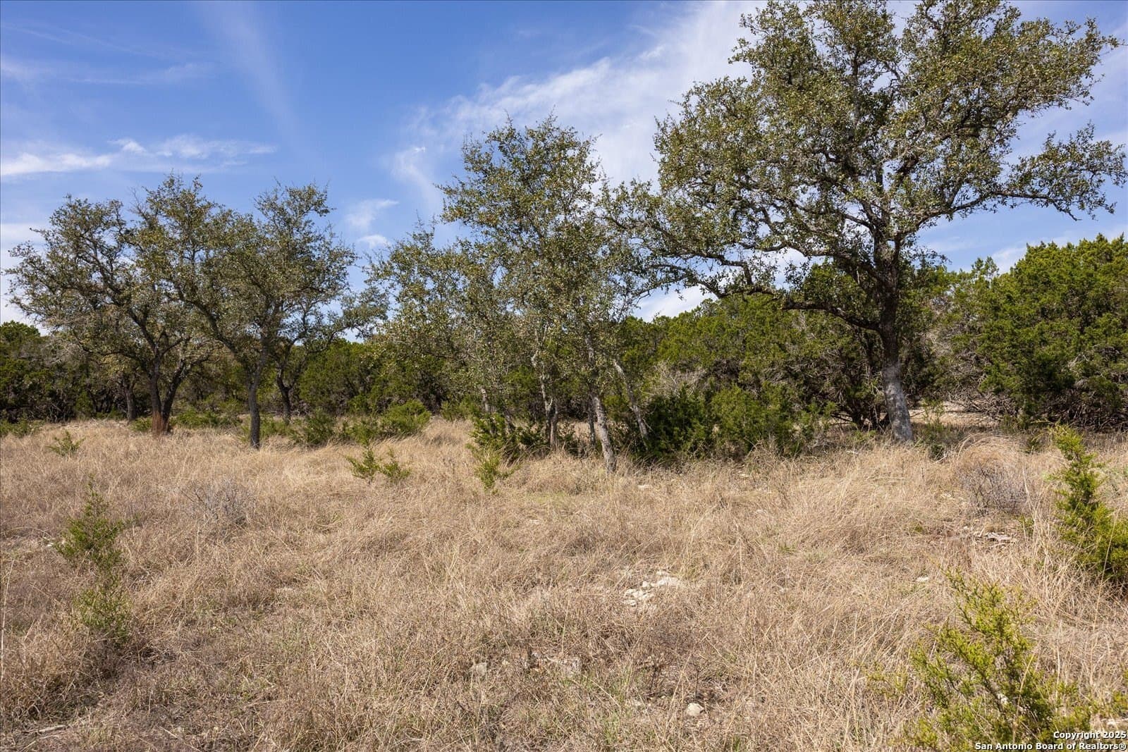 2.31 acres in Kendall County - photo 9