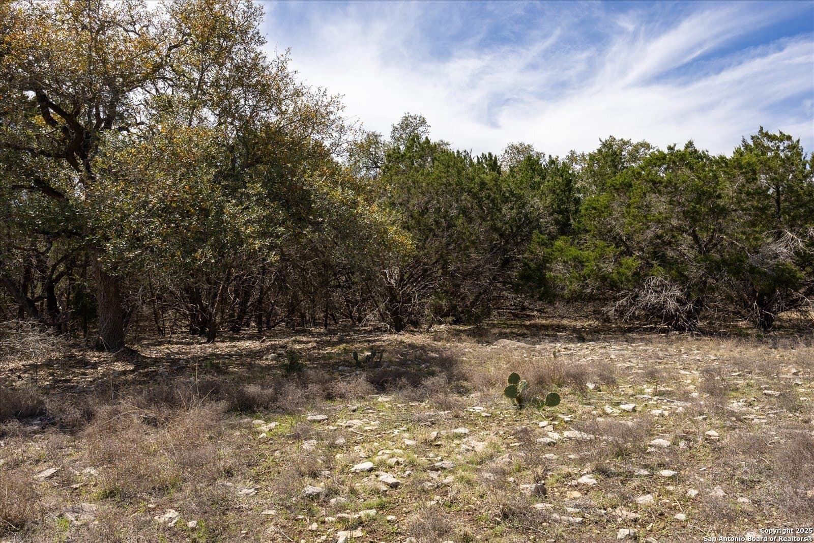 2.31 acres in Kendall County - photo 19