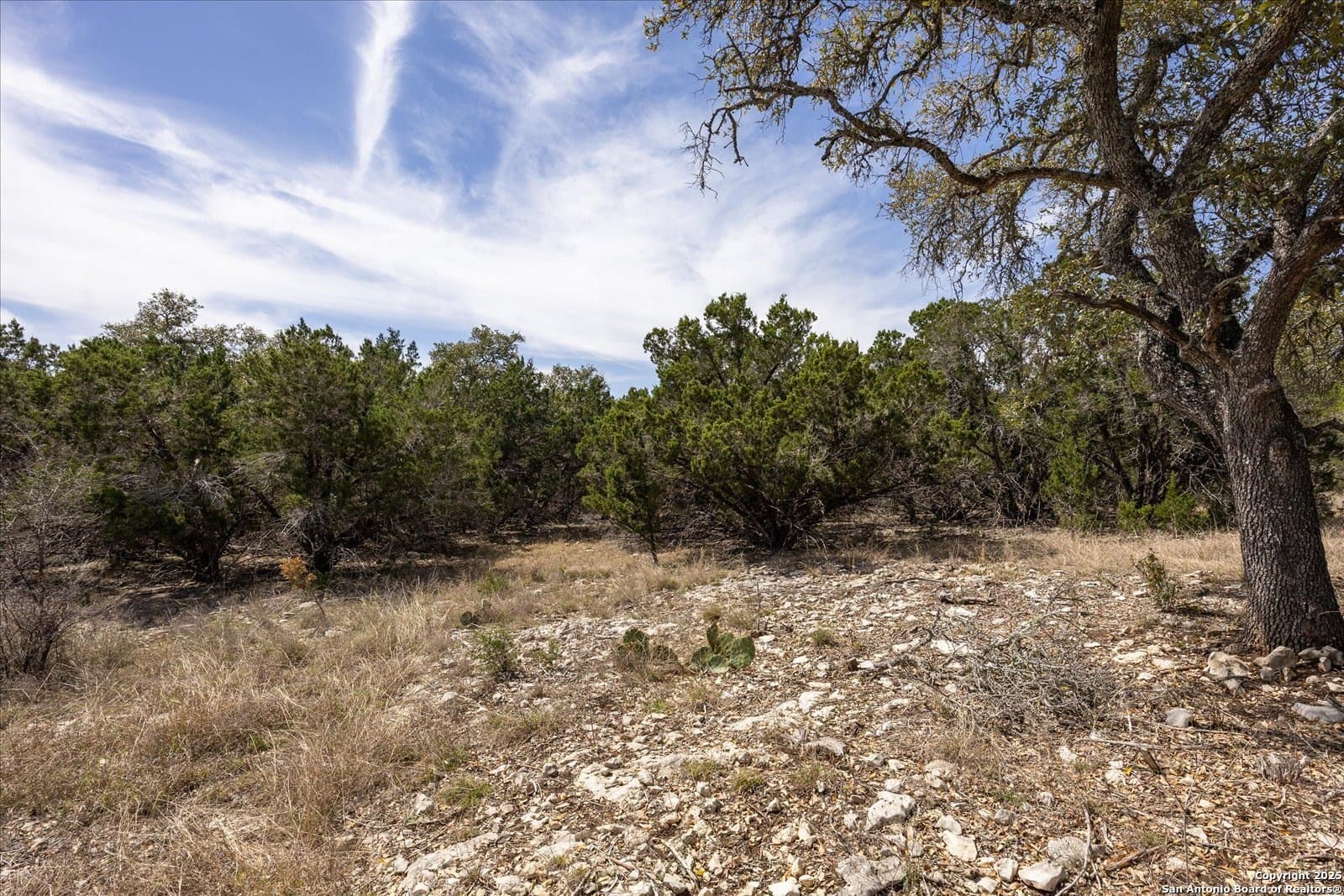 2.31 acres in Kendall County - photo 14