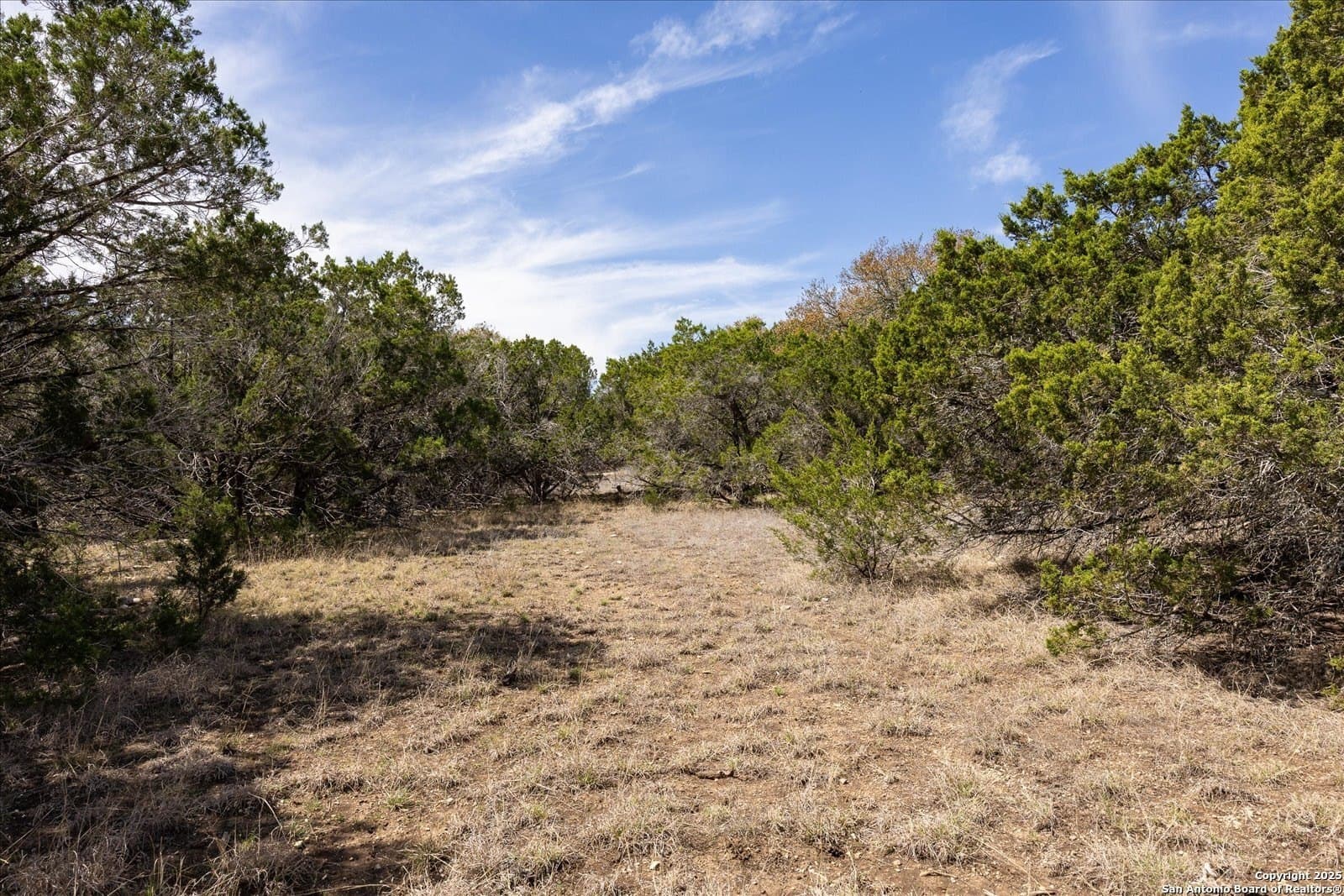 2.31 acres in Kendall County - photo 15